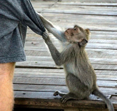 When Your SAP AMS Provider is No Longer a Good Fit When Your SAP AMS Provider is No Longer a Good Fit