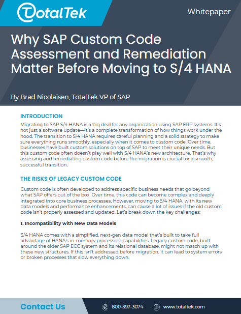 SAP_CustomCodeAssmt_ScreenShot